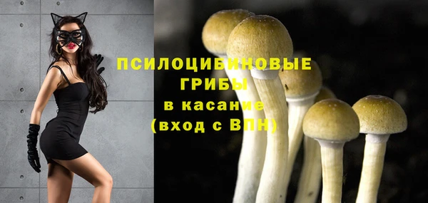 экстази Богданович