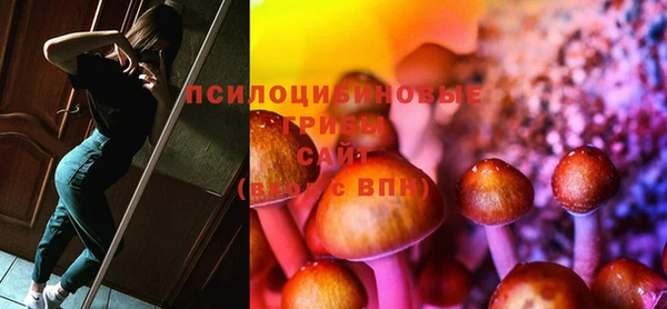 экстази Богданович